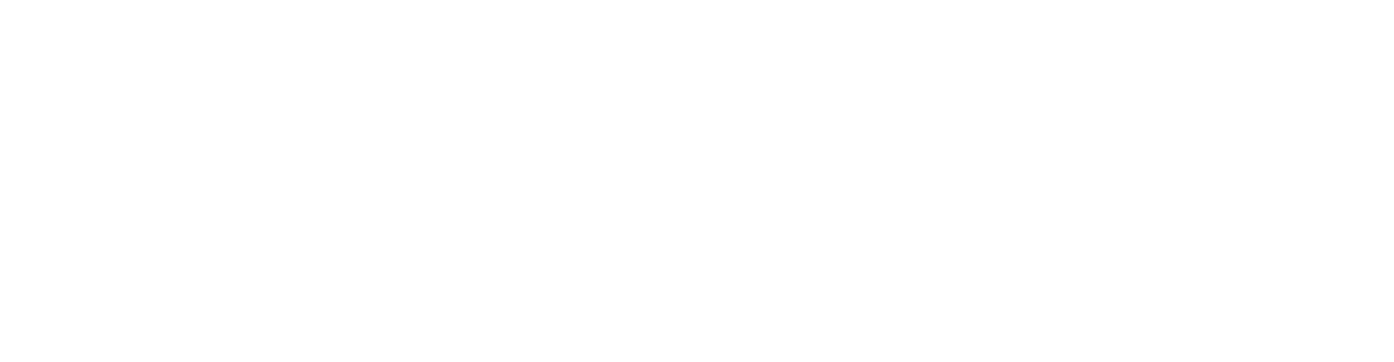 Boy Scouts of America - Chippewa Valley Council Logo